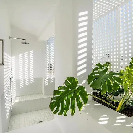 Apartament Velha Ii By Meditrust